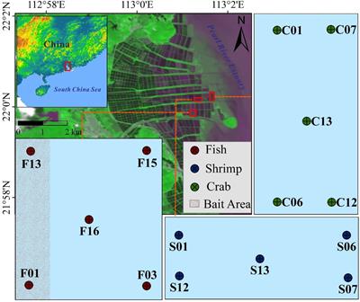 Nitrogen mineralization and immobilization in surface sediments of coastal reclaimed aquaculture ecosystems